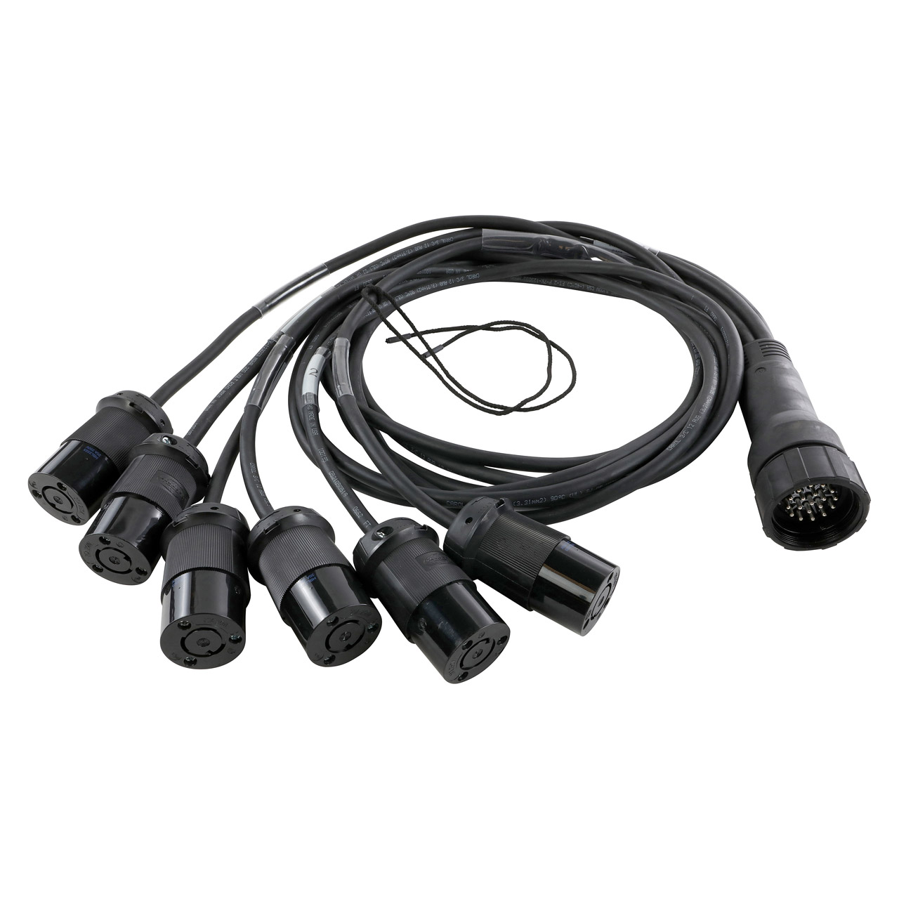 EverGrip® Molded 19-Pin Male (Plug) to (6) NEMA L520 Females (Connectors) Breakout