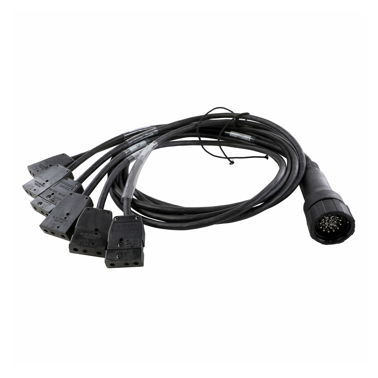 EverGrip® Molded 19-Pin Male (Plug) to (6) 20A Stage Pin (Bates) Females (Connectors) Breakout