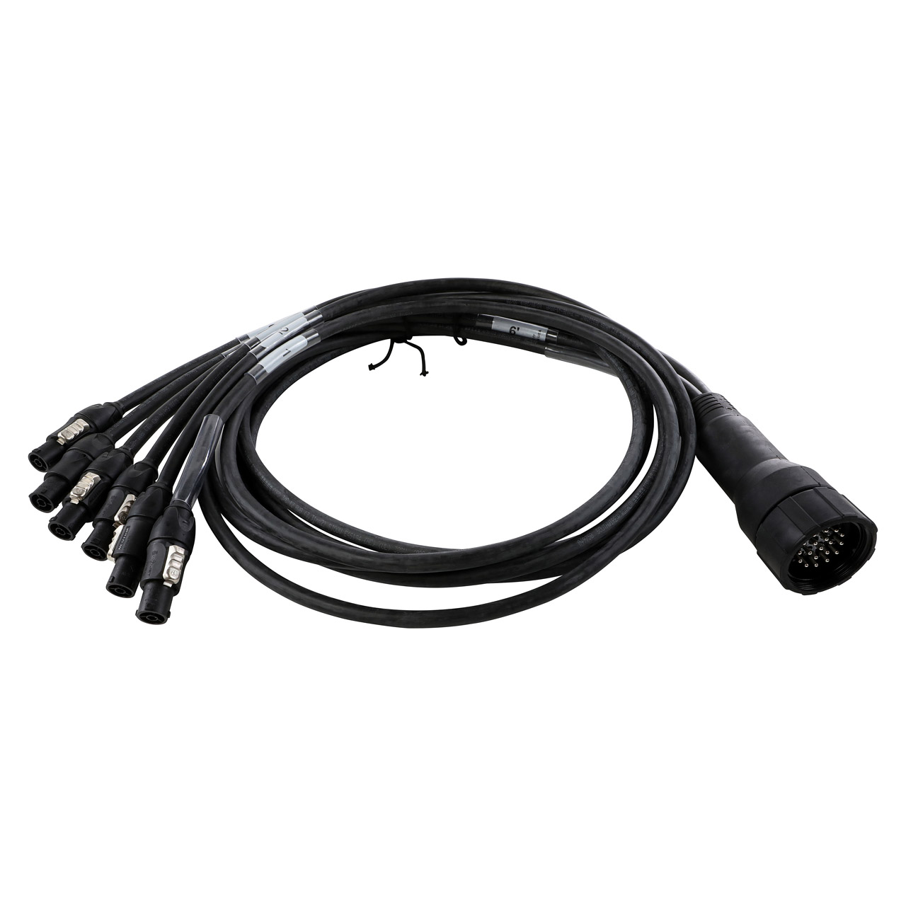 EverGrip® Molded 19-Pin Male (Plug) to (6) powerCON® TRUE1 Females (Connectors) Breakout