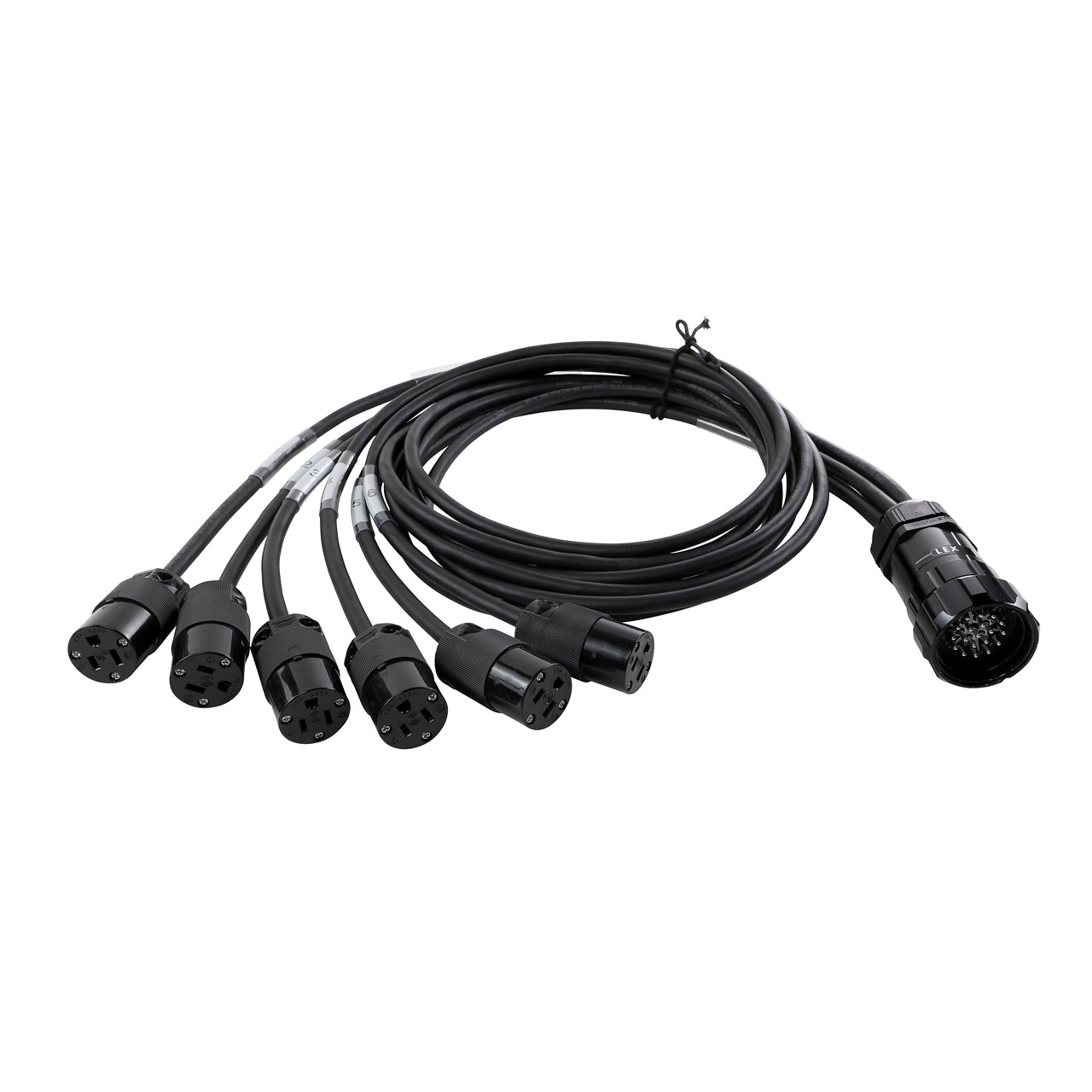 15A 19-Pin Male (Plug) to (6) NEMA 5-15 (Edison) Females (Connectors) Breakout
