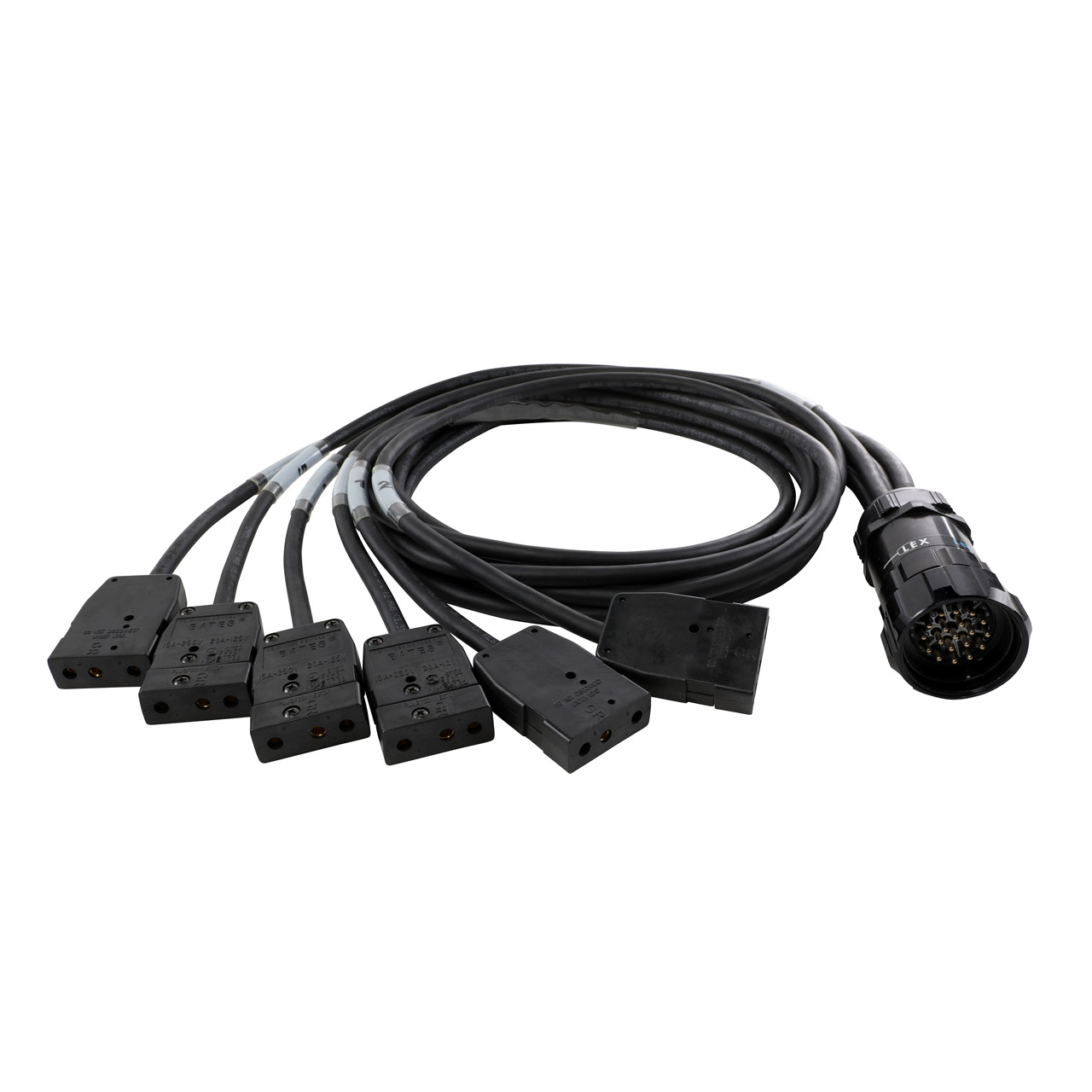 20A 19-Pin Male (Plug) to (6) 20A Stage Pin (Bates) Females (Connectors) Breakout