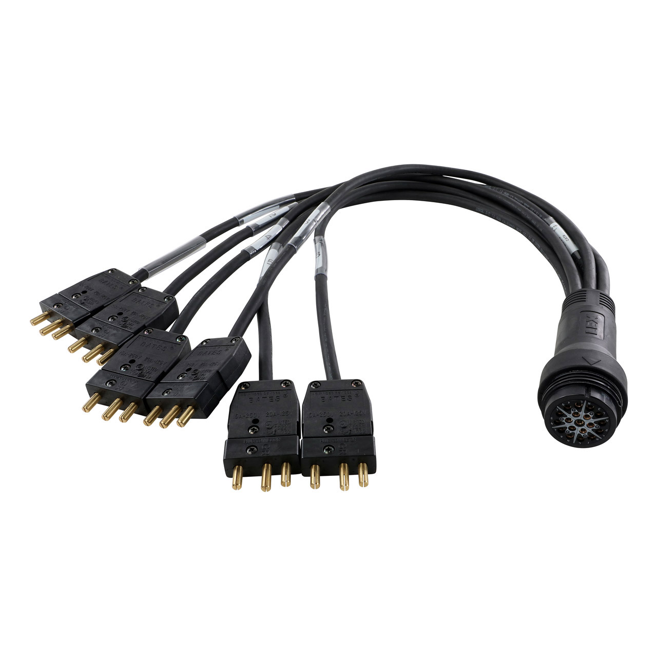 EverGrip® Molded 20A Stage Pin to 19-Pin Breakin