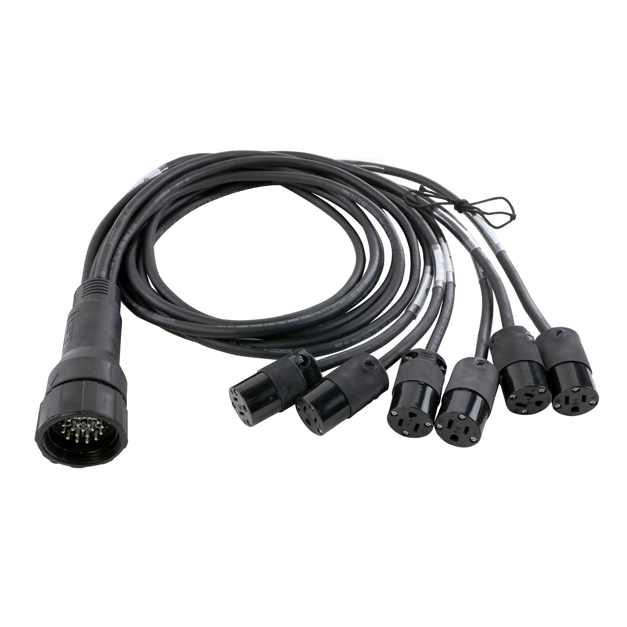 EverGrip® Molded 19-Pin Male (Plug) to (6) NEMA 5-15 (Edison) Females (Connectors) Breakout